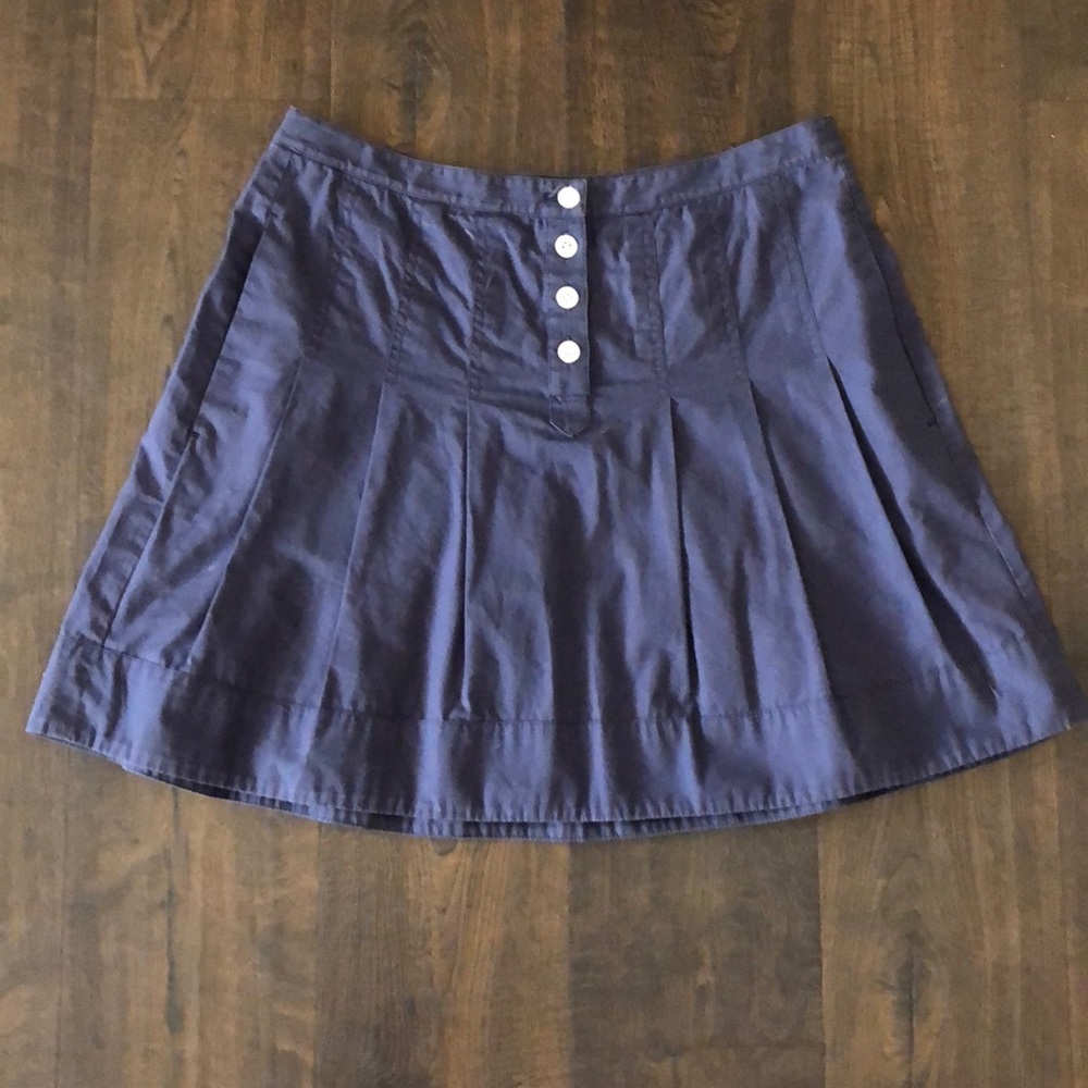 Blue Pleaded J Crew Skirt!